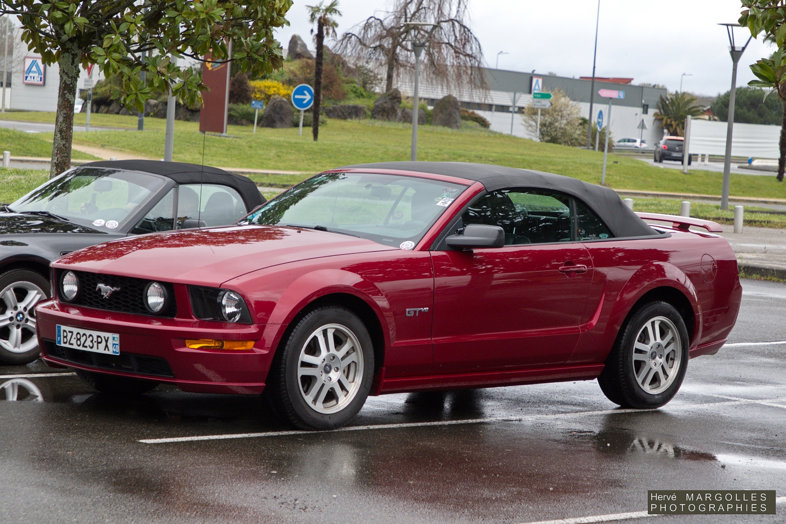 Ford Mustang-01.jpg